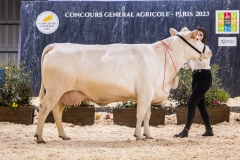 Julie-Crenn-105-7007 Concours bovins