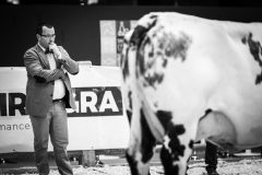 Julie-Crenn-135-7054 Concours bovins