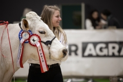 Julie-Crenn-306-7332 Concours bovins