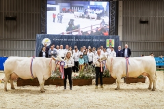 Julie-Crenn-326-2 Concours bovins