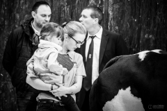 Julie-Crenn-415-7532 Concours bovins