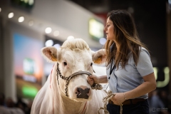 Julie-Crenn-542-7732 Concours bovins