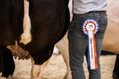 Julie-Crenn-558-7752 Concours bovins