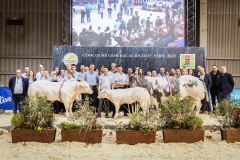 Julie-Crenn-584- Concours bovins