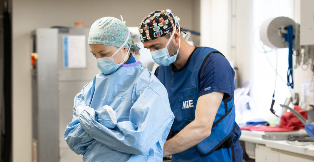 reportage clinique équine